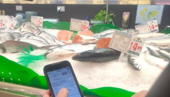 Condis Supermercats y Andy: Digitalización para una Gestión Excelente de las operaciones